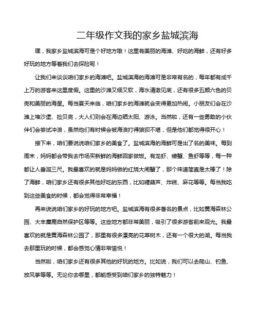 二年级作文我的家乡盐城滨海