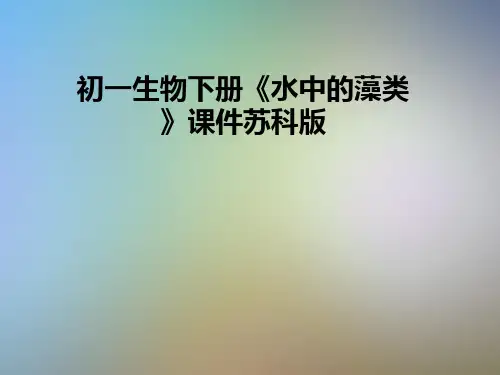 初一生物下册《水中的藻类》课件苏科版