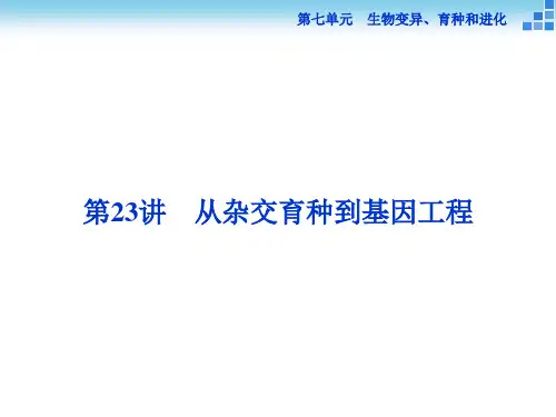 高三生物一轮复习课件 从杂交育种到基因工程