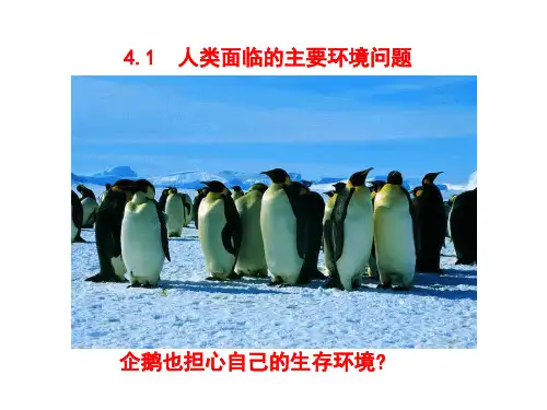湘教版地理必修二 4.1人类面临的主要环境问题(共24张PPT)