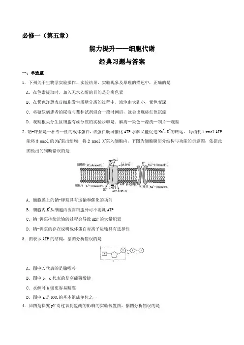 高一生物下学期期末复习必刷经典题(必修1)——细胞代谢(能力提升)
