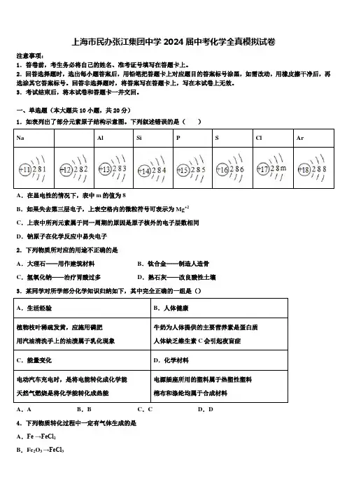 上海市民办张江集团中学2024届中考化学全真模拟试卷含解析