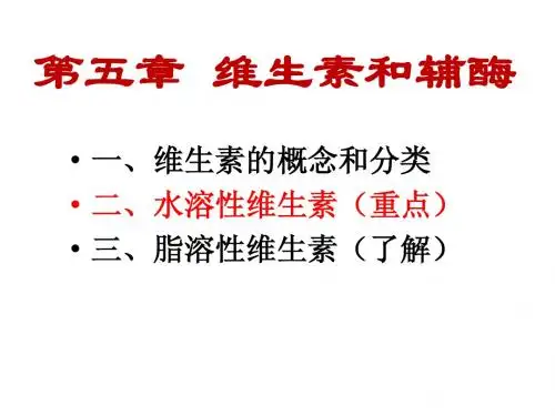 维生素与辅酶