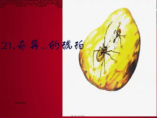 五年级语文上册《奇异的琥珀》课件3 沪教沪教小学五年级上册语文课件