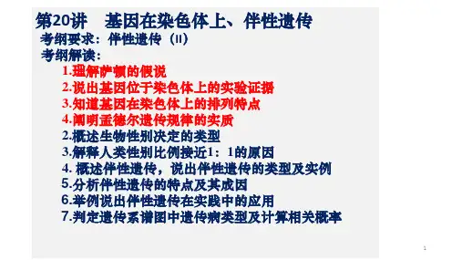 基因在染色体上(一轮复习)ppt课件