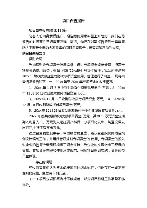 项目自查报告（集锦15篇）