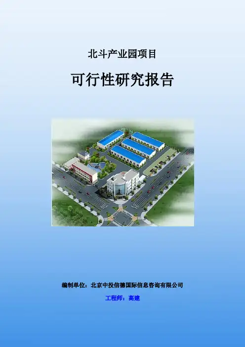 北斗产业园项目可行性研究报告-中投信德