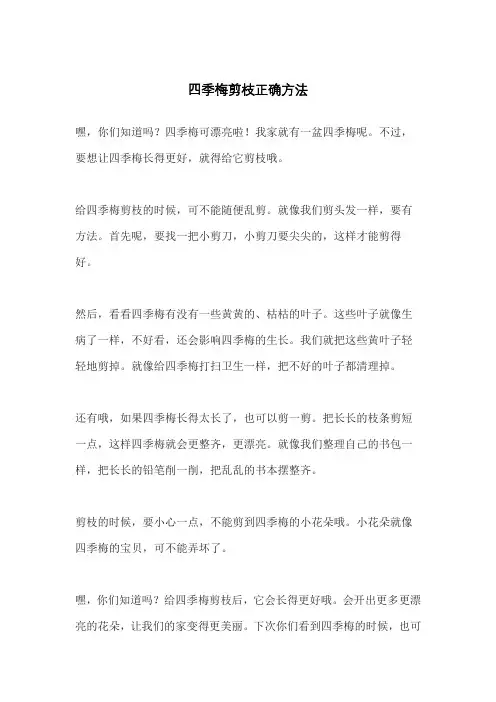 四季梅剪枝正确方法