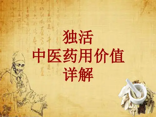 中药学_独活_药材详解课件模板