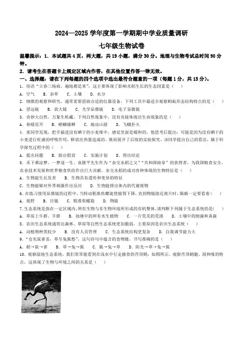 2024秋七年级上学期期中生物试题-附参考答案