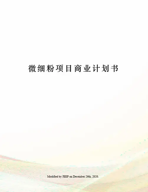 微细粉项目商业计划书