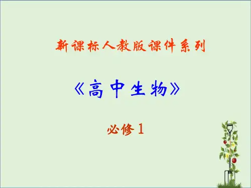 3.0《细胞的基本结构》课件(新人教版-必修1)