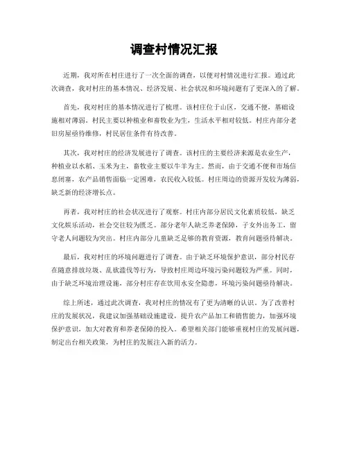 调查村情况汇报