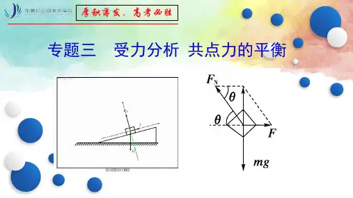 专题三 受力分析 共点力的平衡
