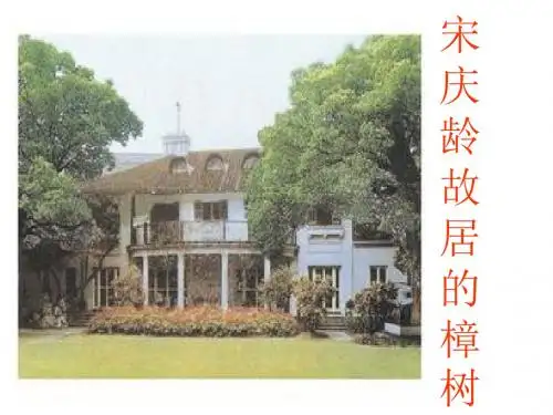 宋庆龄故居的樟树(修改)