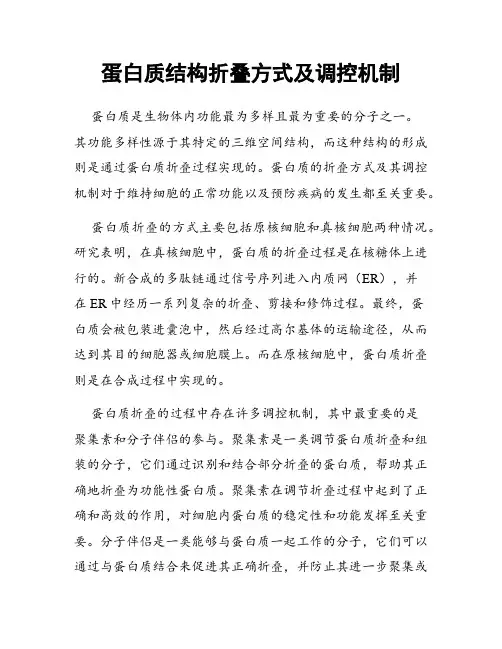 蛋白质结构折叠方式及调控机制