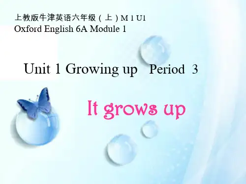 沪教牛津版(深圳用)英语六年级上册Module1 Unit 1 Growing up课件
