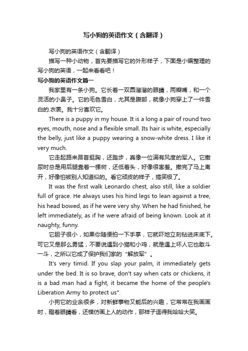 写小狗的英语作文（含翻译）