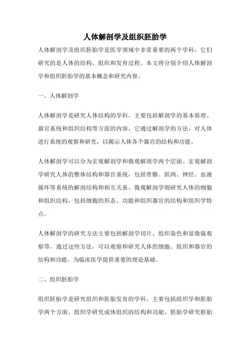 人体解剖学及组织胚胎学