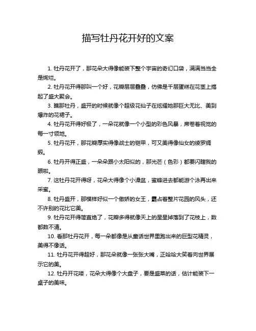 描写牡丹花开好的文案