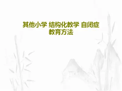 其他小学 结构化教学 自闭症教育方法67页PPT