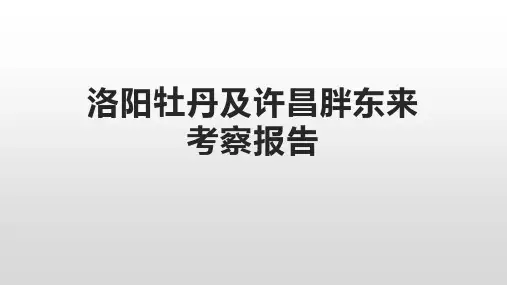 洛阳牡丹及许昌胖东来考察报告
