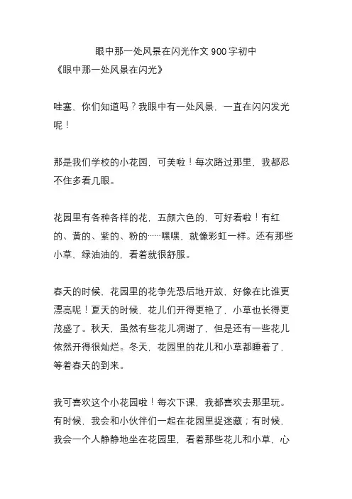 眼中那一处风景在闪光作文900字初中