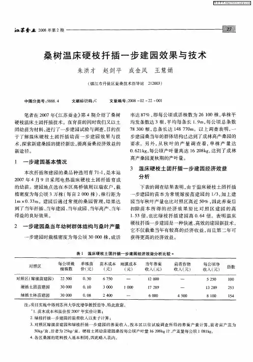 桑树温床硬枝扦插一步建园效果与技术