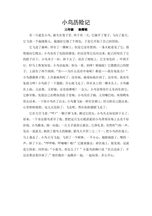 小鸟历险记
