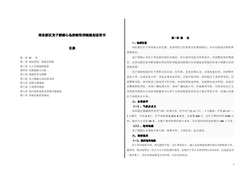 郑东新区龙子湖湖心岛控制性详细规划说明书