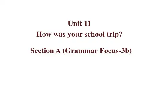 Unit11SectionA(GrammarFocus3b)(课件)人教版英语七年级下册