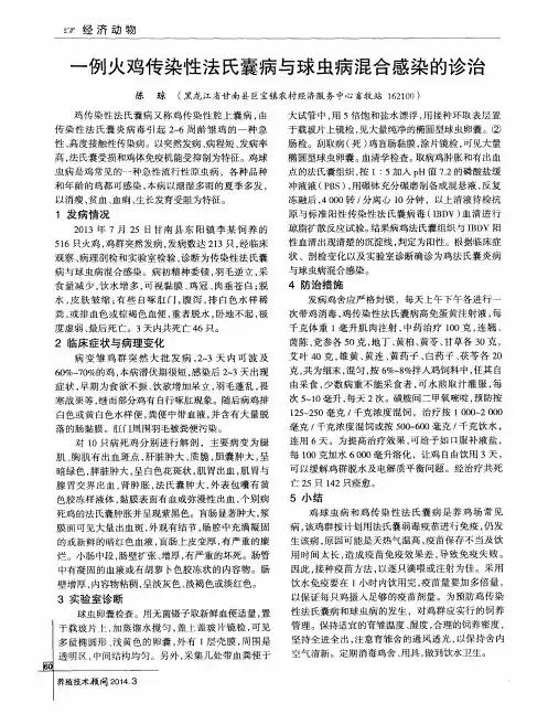 一例火鸡传染性法氏囊病与球虫病混合感染的诊治