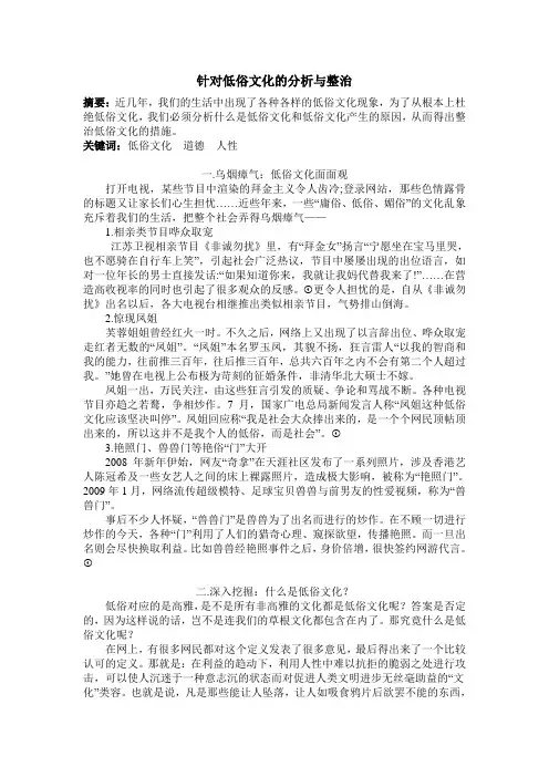 针对低俗文化的分析与整治