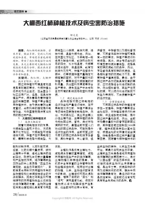211055781_大棚西红柿种植技术及病虫害防治措施