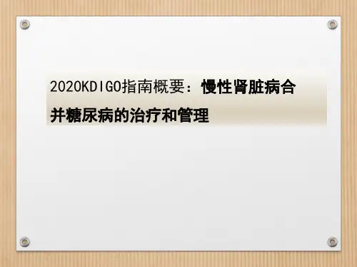 2020KDIGO指南概要：基于循证的慢性肾脏病合并糖尿病的治疗和管理