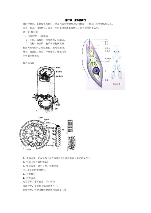 普通动物学第二章原生动物