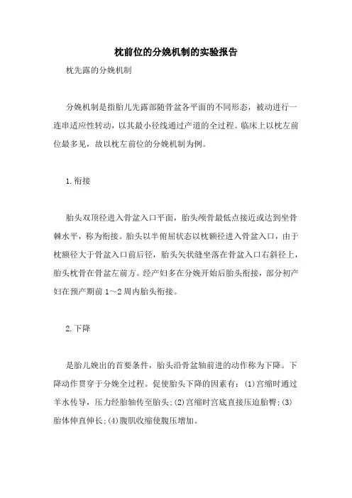 枕前位的分娩机制的实验报告