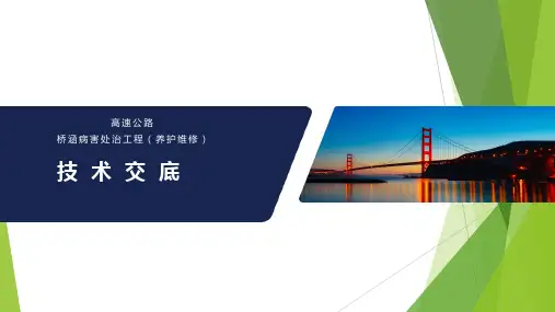 高速公路桥涵病害处治技术交底