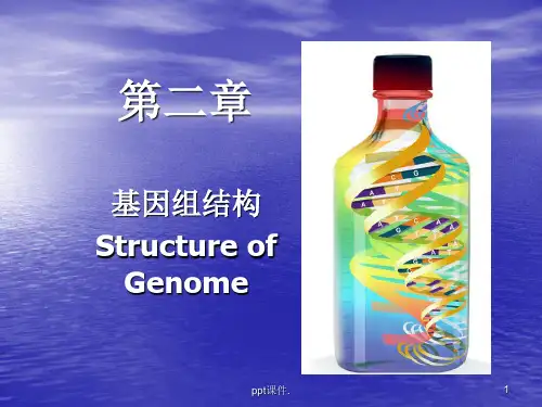 基因组结构ppt课件