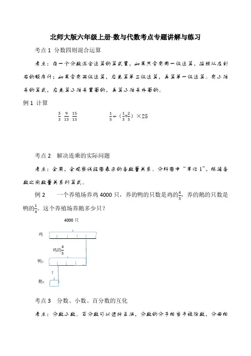【期末专项提升】小学数学六年级上册-数与代数考点提升(含答案)北师大版