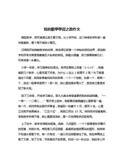 我的数学学习之路作文