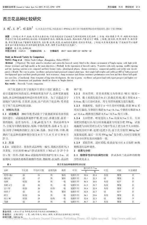 西兰花品种比较研究_王鹏