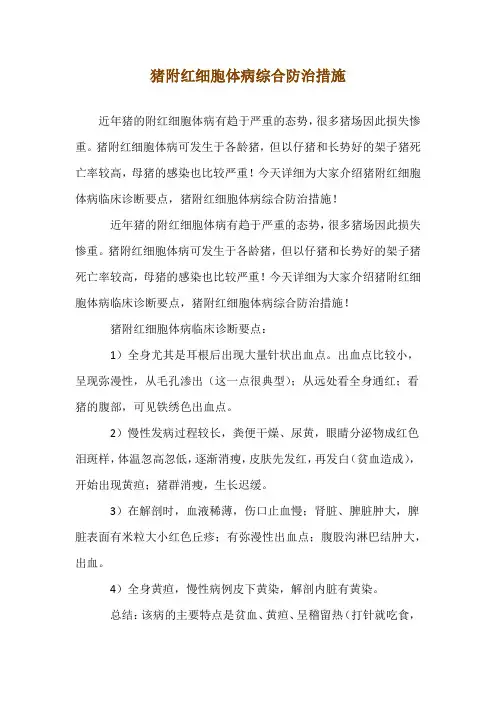 猪附红细胞体病综合防治措施