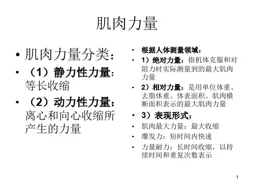 肌肉力量PPT课件