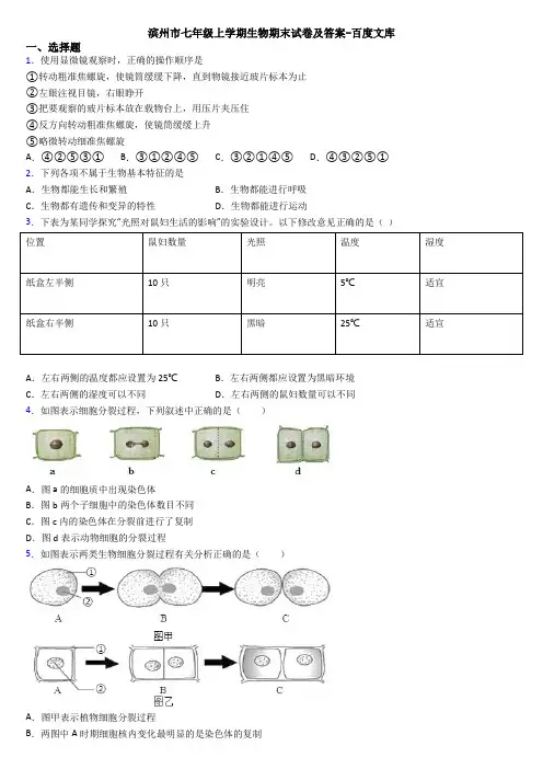 滨州市七年级上学期生物期末试卷及答案-百度文库