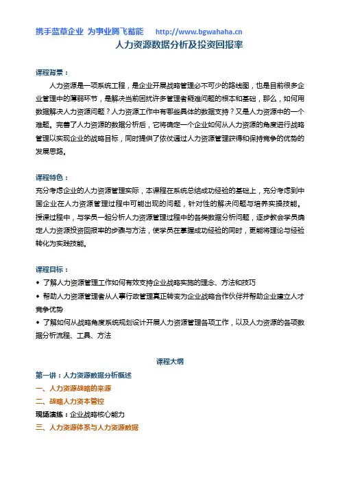 《人力资源数据分析及投资回报率》