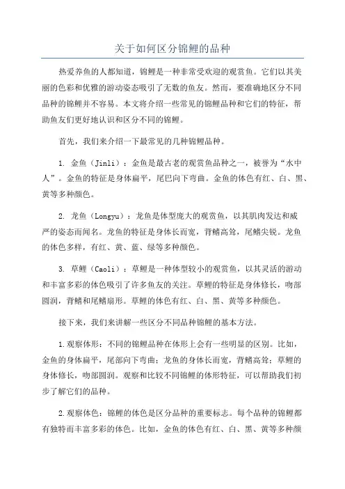 关于如何区分锦鲤的品种