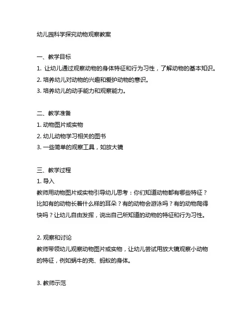 幼儿园科学探究动物观察教案 幼儿园教案