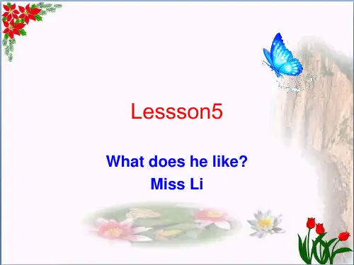 (精选)五年级英语上册 Lesson 5 What does he like课件3 科普版