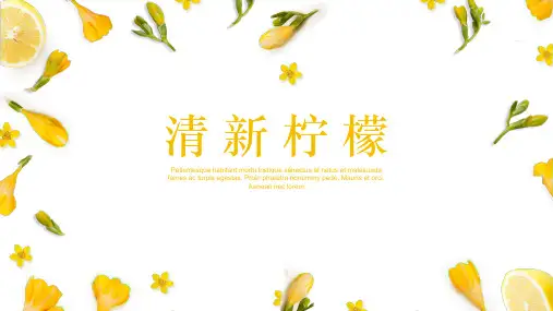 小清新柠檬ppt通用模板